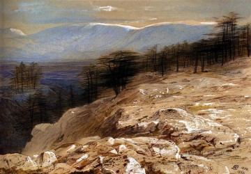 Edward Lear Painting - The Cedars Of Lebanon Edward Lear